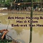 Arti Mimpi Mancing Dapat Ikan Mas Hitam Besar